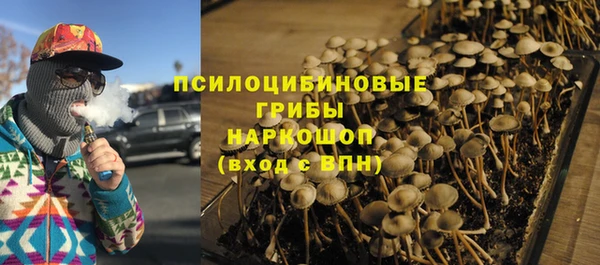 мет Алексин