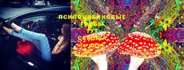 спиды Алексеевка