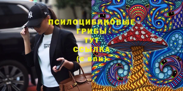 спиды Алексеевка