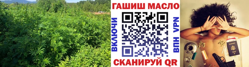 Дистиллят ТГК гашишное масло  Гвардейск 
