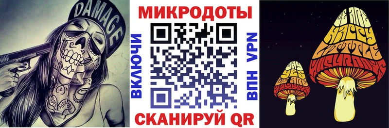 где найти   Гвардейск  Псилоцибиновые грибы прущие грибы 
